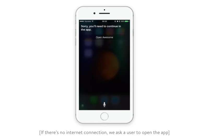 Opening the app if there's no internet