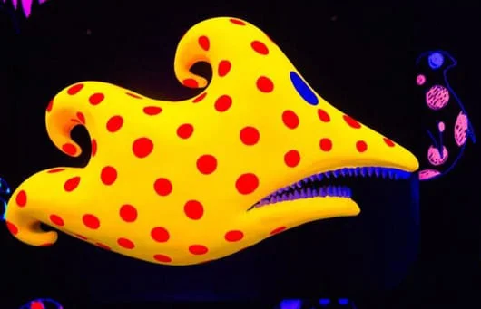 Animations in a mobile app