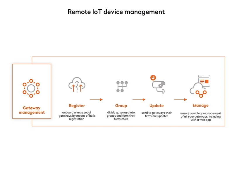 Remote IoT device management