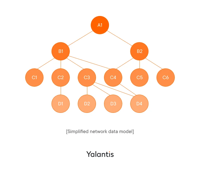 Simplified network data model