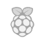 Raspberry Pi logo