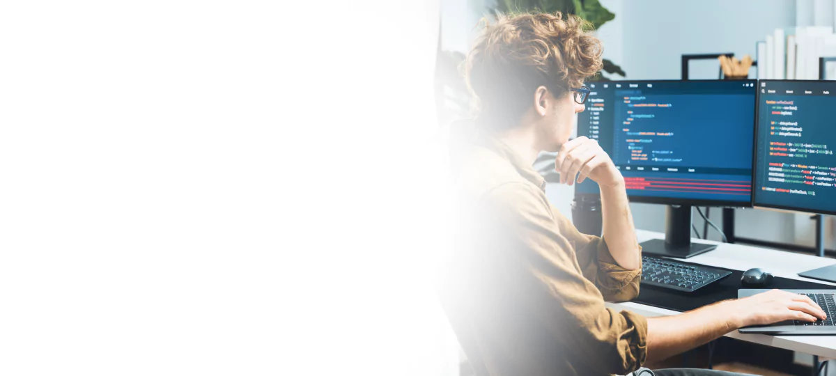 Big data development services