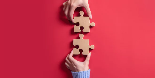 Yalantis and Bird collaboration