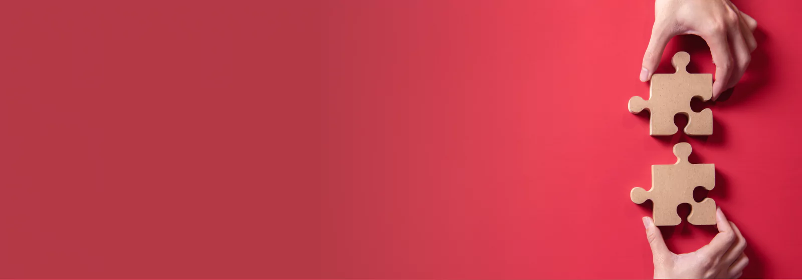 Yalantis and Bird collaboration