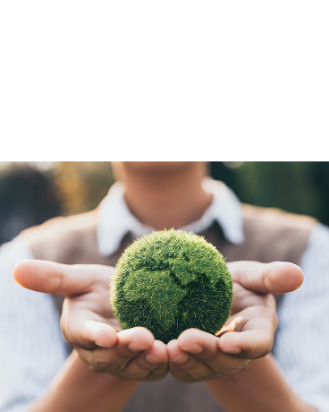 Environmental sustainability