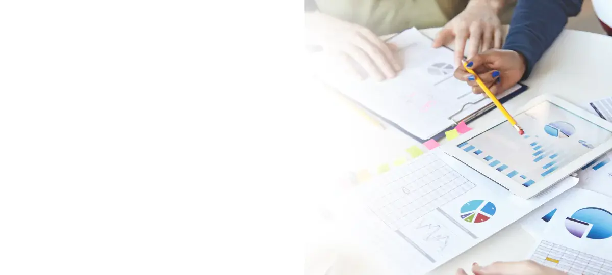 Data visualization services