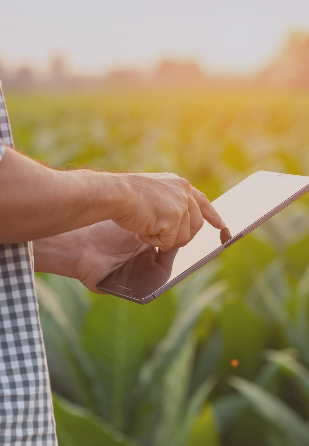 Agriculture